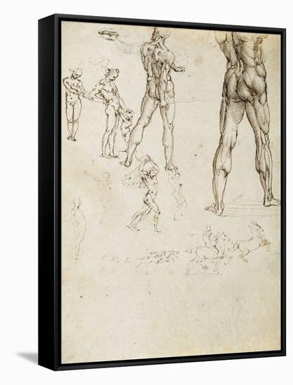 Figure Studies and Nudes for the Battle of Anghiari-Leonardo da Vinci-Framed Stretched Canvas