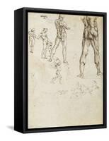 Figure Studies and Nudes for the Battle of Anghiari-Leonardo da Vinci-Framed Stretched Canvas