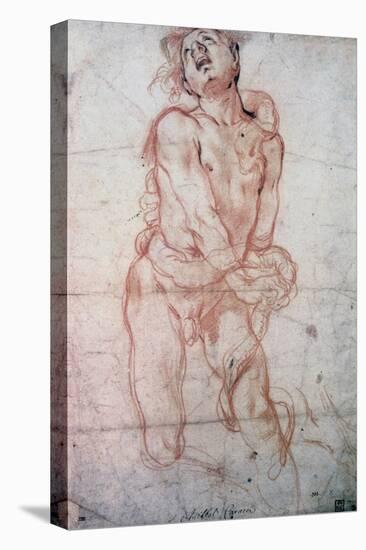 Figure Study, 1560-1609-Annibale Carracci-Stretched Canvas