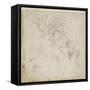 Figure Study, C.1511-Michelangelo Buonarroti-Framed Stretched Canvas