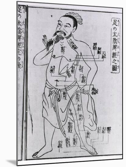 Figure with Acupuncture Points and Meridians from 1805 Japanese Medical Text-null-Mounted Art Print