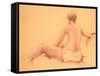 Figure-Bruce Nawrocke-Framed Stretched Canvas