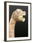 Figurehead of a Viking Longship, Found at Oseberg, Norway-Viking-Framed Giclee Print