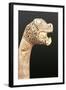 Figurehead of a Viking Longship, Found at Oseberg, Norway-Viking-Framed Giclee Print