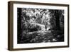 Figures in the Distance in Landscape under Trees-Sharon Wish-Framed Photographic Print