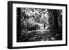 Figures in the Distance in Landscape under Trees-Sharon Wish-Framed Photographic Print