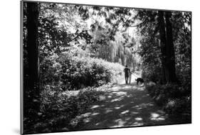 Figures in the Distance in Landscape under Trees-Sharon Wish-Mounted Photographic Print