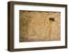 Figures of Stucco Relief, Skeletal Heads Found in the Niches, Castillo De Kukulcan-Richard Maschmeyer-Framed Photographic Print