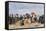 Figures on a Beach, 1884-Eug?ne Boudin-Framed Stretched Canvas