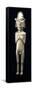 Figurine in the Form of a Standing Nude Male with Elongated Ears-null-Framed Stretched Canvas