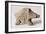 Figurine of a Small Boar, from Tappeh Sarab, Iran, circa 6th Millennium BC-Prehistoric-Framed Giclee Print