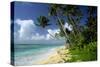 Fiji One of the Best Shelling Beaches in the World-null-Stretched Canvas