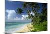 Fiji One of the Best Shelling Beaches in the World-null-Mounted Premium Photographic Print