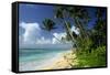 Fiji One of the Best Shelling Beaches in the World-null-Framed Stretched Canvas