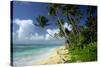 Fiji One of the Best Shelling Beaches in the World-null-Stretched Canvas