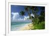 Fiji One of the Best Shelling Beaches in the World-null-Framed Photographic Print