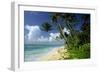 Fiji One of the Best Shelling Beaches in the World-null-Framed Photographic Print