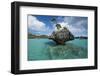 Fiji, Southern Lau Group, Island of Fulanga. Mushroom Islets Formation-Cindy Miller Hopkins-Framed Photographic Print