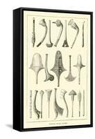 Fijian War Clubs-null-Framed Stretched Canvas