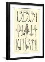 Fijian War Clubs-null-Framed Giclee Print