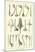 Fijian War Clubs-null-Mounted Giclee Print