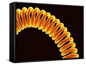 Filament of light bulb-Micro Discovery-Framed Stretched Canvas