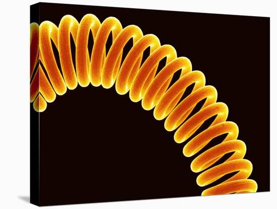 Filament of light bulb-Micro Discovery-Stretched Canvas