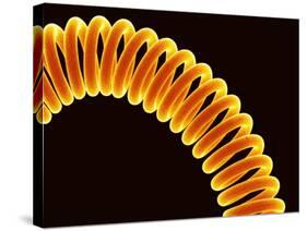 Filament of light bulb-Micro Discovery-Stretched Canvas