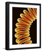 Filament of light bulb-Micro Discovery-Framed Photographic Print