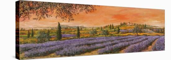 Filari di Lavanda-Tebo Marzari-Stretched Canvas