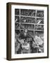 File Clerk Who Is Sorting Through Vacation Snapshots Being Used for Military Intelligence-null-Framed Photographic Print