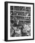 File Clerk Who Is Sorting Through Vacation Snapshots Being Used for Military Intelligence-null-Framed Photographic Print