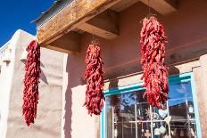 Hanging Chillis-FiledIMAGE-Photographic Print