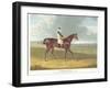 Filho Da Puta', the Winner of the Great St. Leger at Doncaster, 1815-John Frederick Herring I-Framed Giclee Print