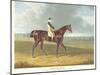 Filho Da Puta', the Winner of the Great St. Leger at Doncaster, 1815-John Frederick Herring I-Mounted Giclee Print