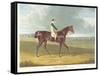 Filho Da Puta', the Winner of the Great St. Leger at Doncaster, 1815-John Frederick Herring I-Framed Stretched Canvas