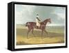 Filho Da Puta', the Winner of the Great St. Leger at Doncaster, 1815-John Frederick Herring I-Framed Stretched Canvas