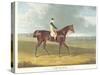 Filho Da Puta', the Winner of the Great St. Leger at Doncaster, 1815-John Frederick Herring I-Stretched Canvas