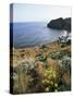 Filicudi, Aeolian Islands (Lipari Islands), Unesco World Heritage Site, Italy, Mediterranean-Oliviero Olivieri-Stretched Canvas
