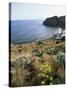 Filicudi, Aeolian Islands (Lipari Islands), Unesco World Heritage Site, Italy, Mediterranean-Oliviero Olivieri-Stretched Canvas