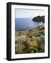 Filicudi, Aeolian Islands (Lipari Islands), Unesco World Heritage Site, Italy, Mediterranean-Oliviero Olivieri-Framed Photographic Print