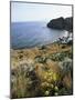 Filicudi, Aeolian Islands (Lipari Islands), Unesco World Heritage Site, Italy, Mediterranean-Oliviero Olivieri-Mounted Photographic Print