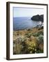 Filicudi, Aeolian Islands (Lipari Islands), Unesco World Heritage Site, Italy, Mediterranean-Oliviero Olivieri-Framed Photographic Print