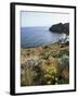 Filicudi, Aeolian Islands (Lipari Islands), Unesco World Heritage Site, Italy, Mediterranean-Oliviero Olivieri-Framed Photographic Print