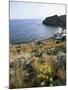Filicudi, Aeolian Islands (Lipari Islands), Unesco World Heritage Site, Italy, Mediterranean-Oliviero Olivieri-Mounted Photographic Print