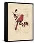 Filigree Cardinal-Chad Barrett-Framed Stretched Canvas