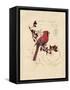 Filigree Cardinal-Chad Barrett-Framed Stretched Canvas