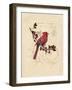 Filigree Cardinal-Chad Barrett-Framed Art Print