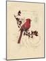 Filigree Cardinal-Chad Barrett-Mounted Art Print