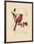 Filigree Cardinal-Chad Barrett-Framed Art Print